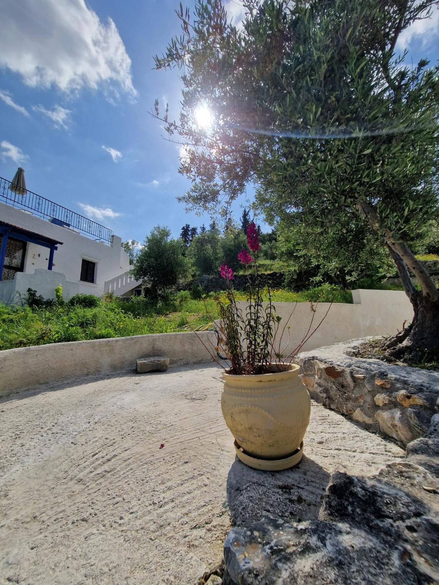 Apartament Stefanos Garden Arménoi Zewnętrze zdjęcie